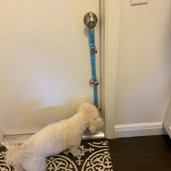 PoochieBells PottyTraining - Picture 3 of 4